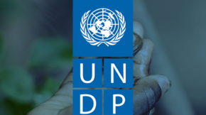 UNDP Cover