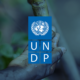 UNDP Cover