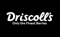 Driscoll's : Driscoll's is a California-based seller of fresh strawberries and other berries. It is a fourth-generation family business that has been in the Reiter and Driscoll families since the late 1800s.In 2017, it controlled roughly one-third of the $6 billion U.S. berry market.Headquartered in Watsonville, California, Driscoll's develops proprietary breeds of berries and then licenses them exclusively through approved growers.