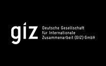 German development cooperation agency : GIZ develop tailor-made solutions to challenging problems for our clients. As a competent service provider, GIZ supports the German Government in achieving its objectives. 