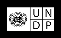 United Nations Development Programme : UNDP works to eradicate poverty and reduce inequalities through the sustainable development of nations, in more than 170 countries and territories.